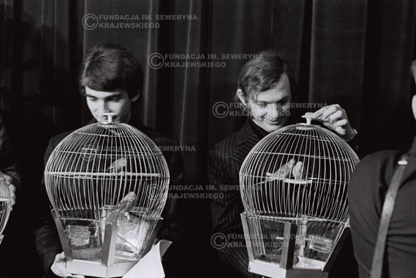 # 854 - 1968r. 'Zgaduj Zgadula' (program tv, papugi jako główna nagroda)