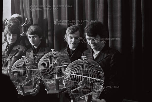# 856 - 1968r. 'Zgaduj Zgadula' (program tv, papugi jako główna nagroda)